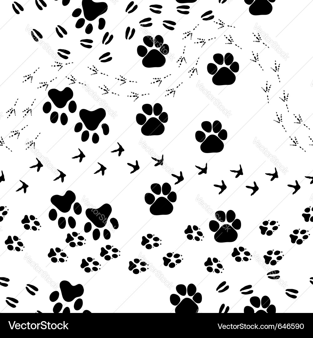Animal Paw Print Pattern Vector Image