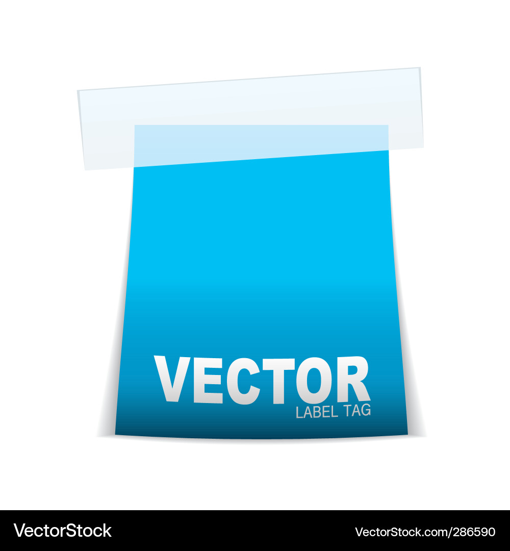 Label tag icon Vector Image