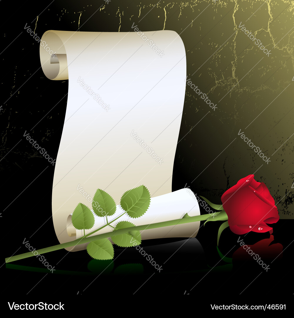 Red Rose with Paper Scroll Vector Image