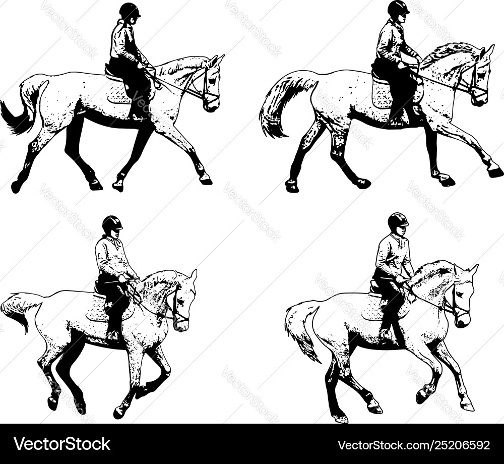 Riding horses collection - sketch Riding horses collection - sketch vector image