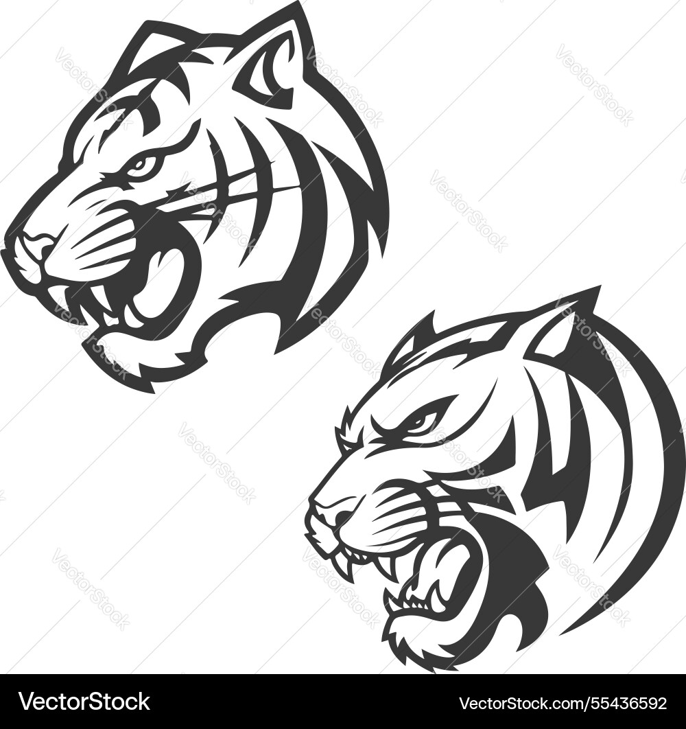 Tiger head isolated on white background images Vector Image