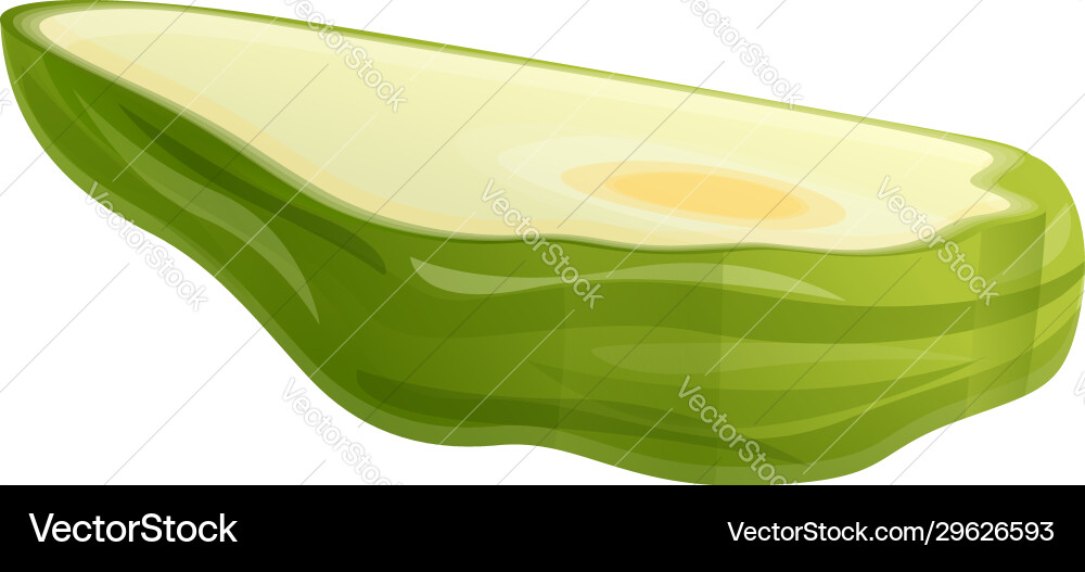 Half chayote icon cartoon style Half chayote icon cartoon style vector image