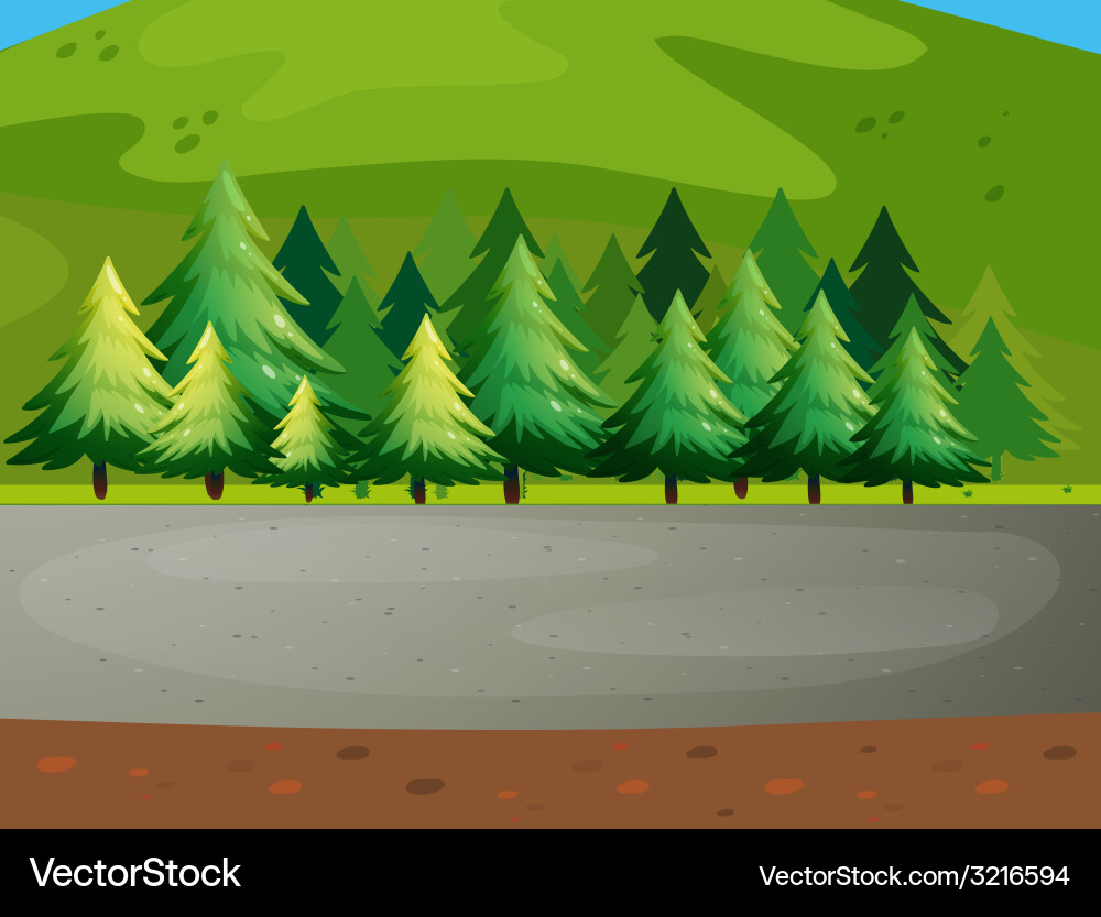 Scenic Pine Forest Royalty Free Vector Image - VectorStock