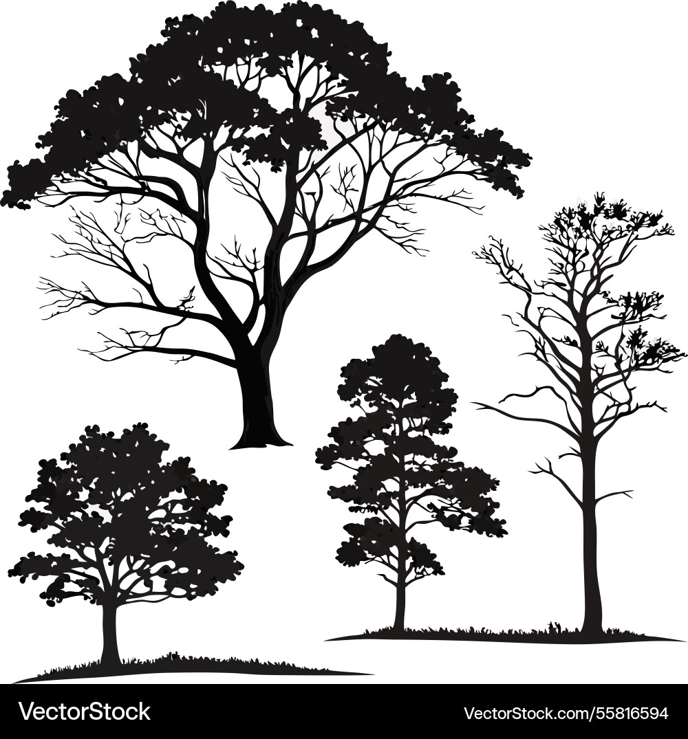 Tree silhouette collection image Tree silhouette collection image vector image