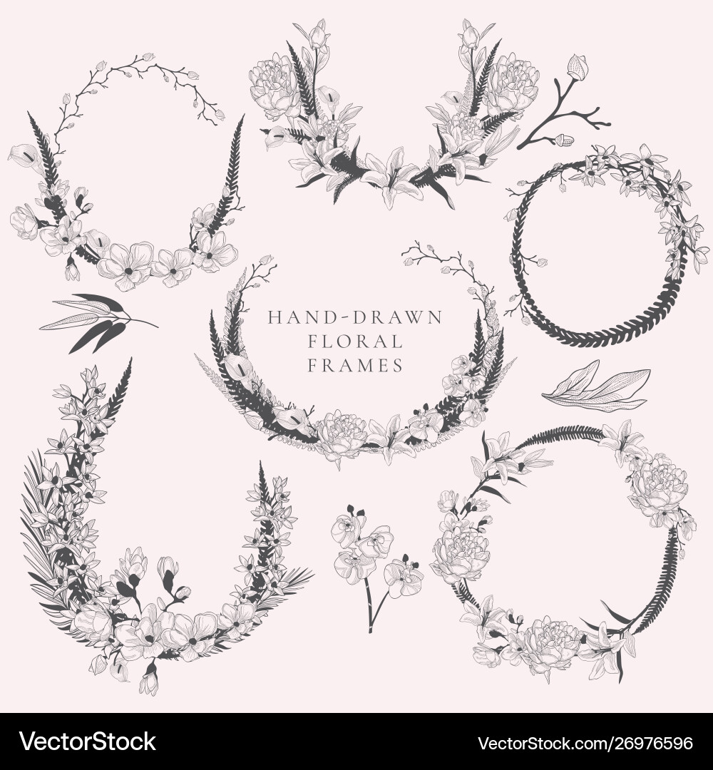Floral Wreath Collection vector image