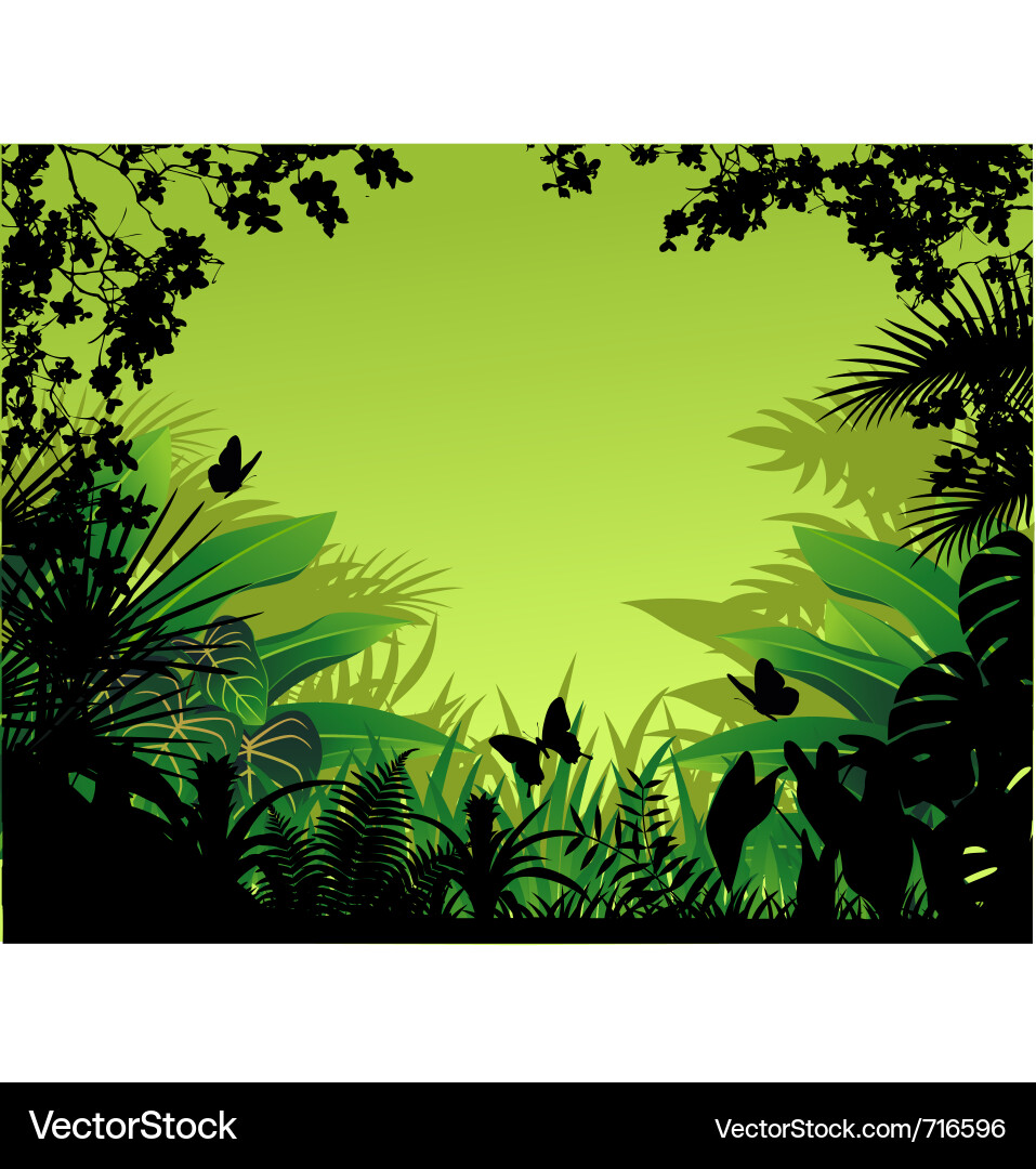 Tropical forest background Royalty Free Vector Image