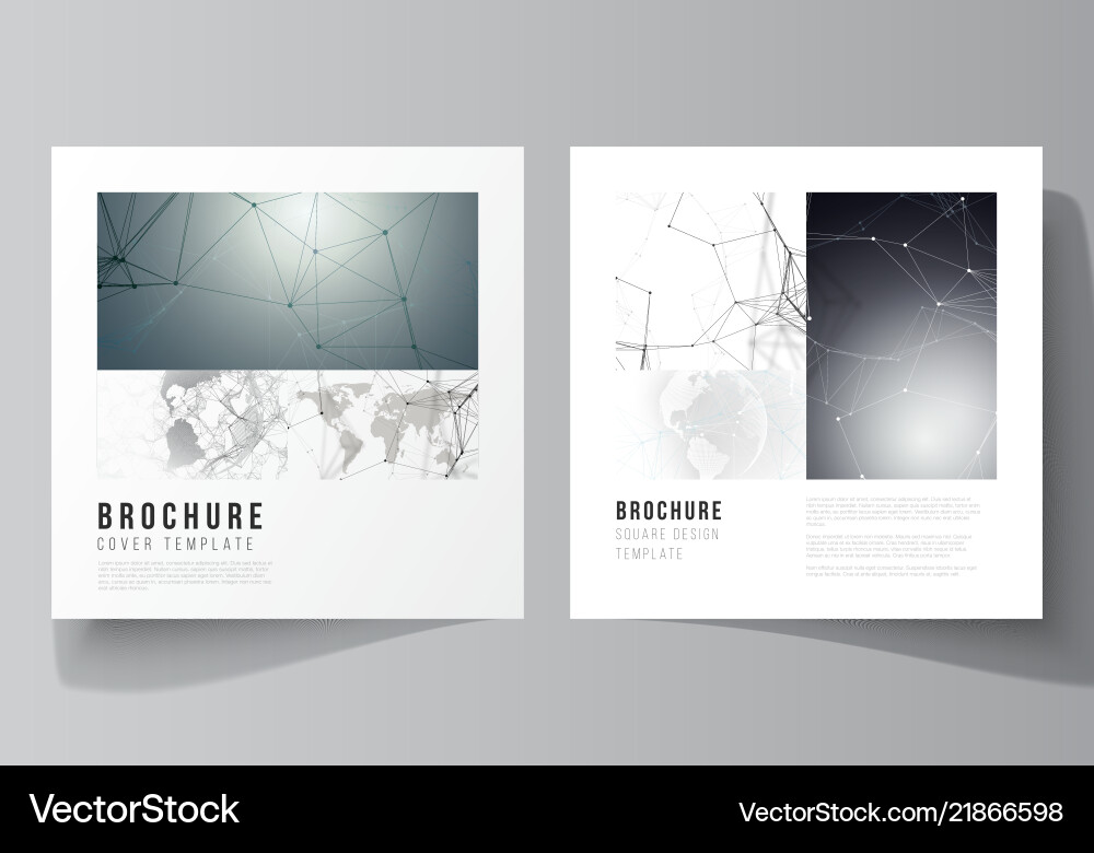Layout of two square format covers design Layout of two square format covers design vector image