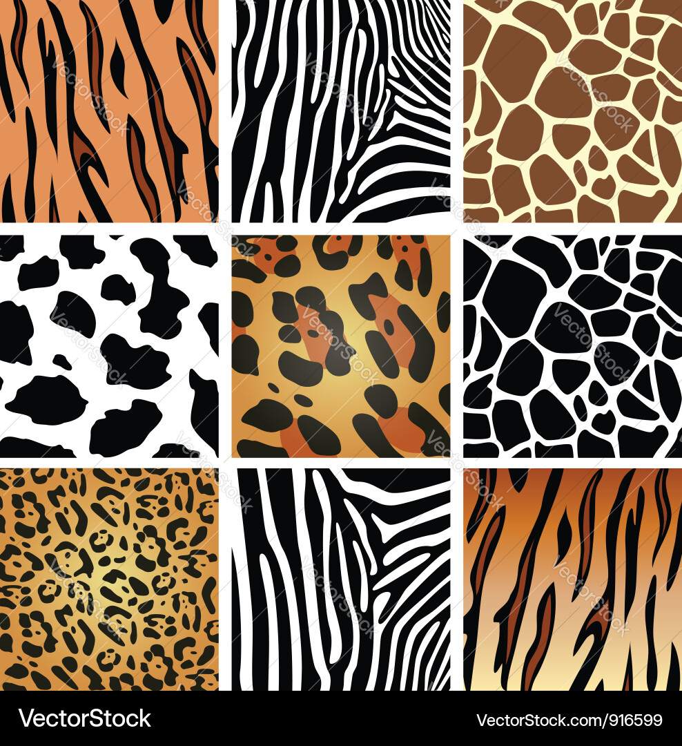 Animal Skin Patterns vector image