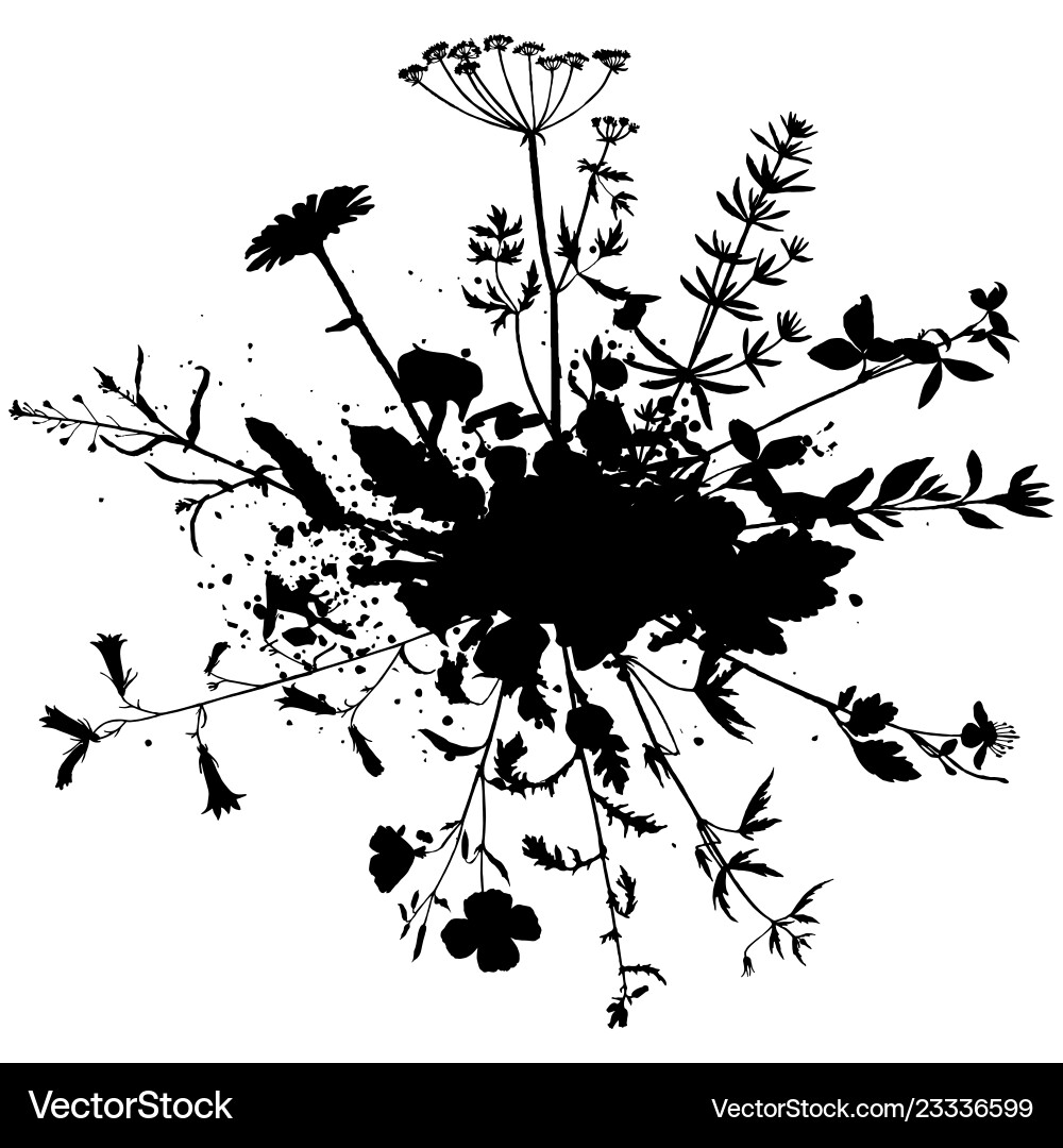 Hintergrund mit Zeichnung Kräuter und Blumen Hintergrund mit Zeichnung Kräuter und Blumen vektorbild