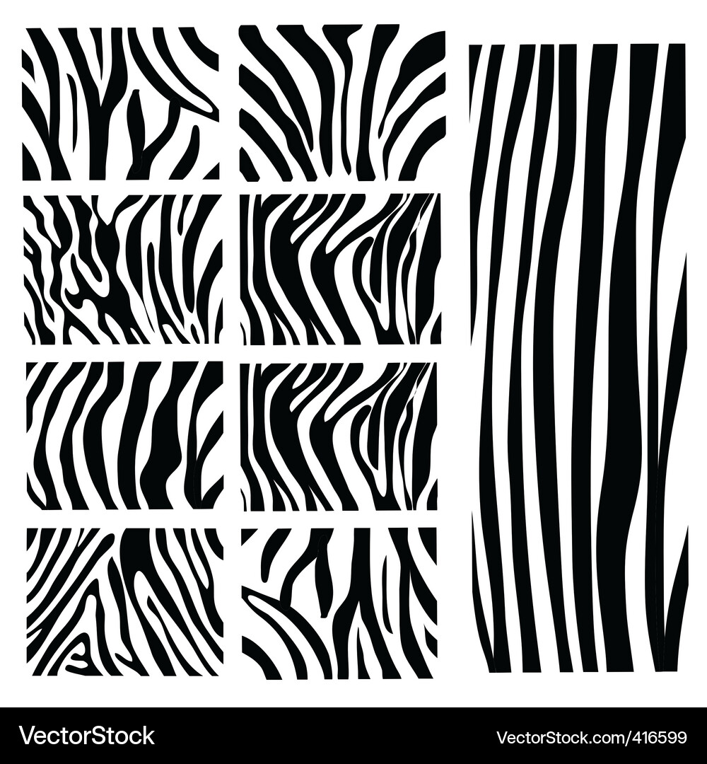 Zebra Stripes Pattern Vector Image