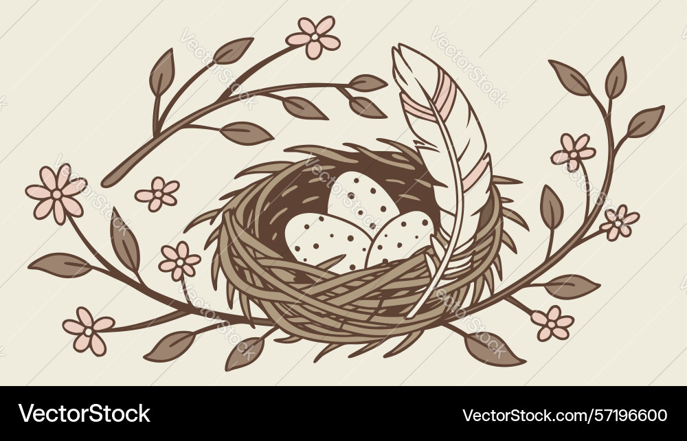 Bird nest with feather and eggs rustic nature Vector Image