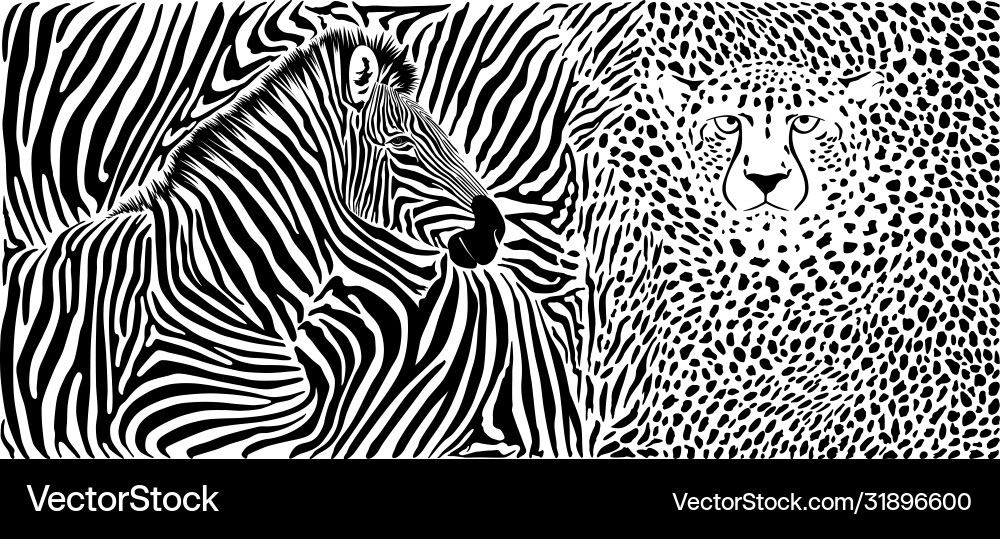 Zebra and Cheetah Pattern Background vector image