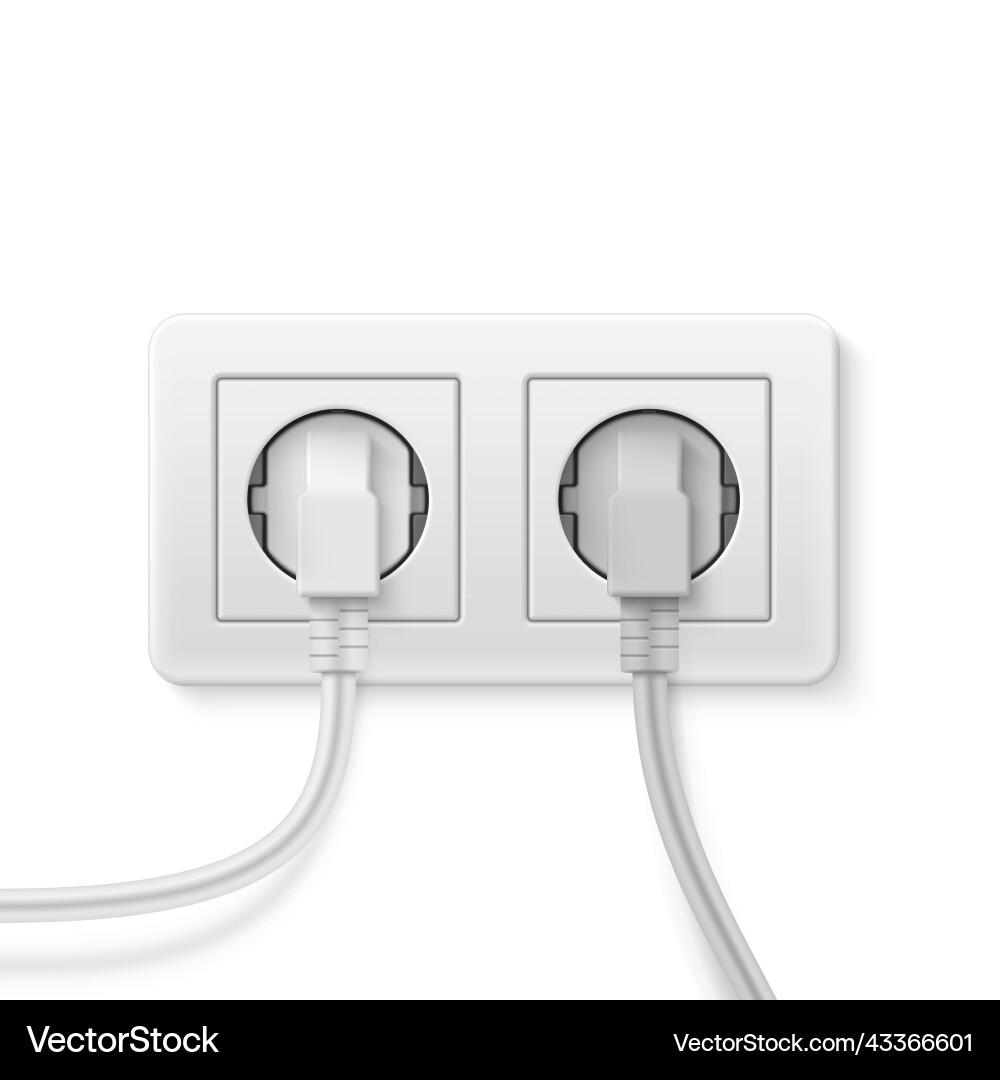 Two plug inserted in double wall socket realistic Vector Image
