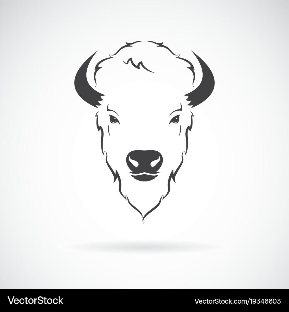 Buffalo Head Icon - Wildlife Symbol vector image