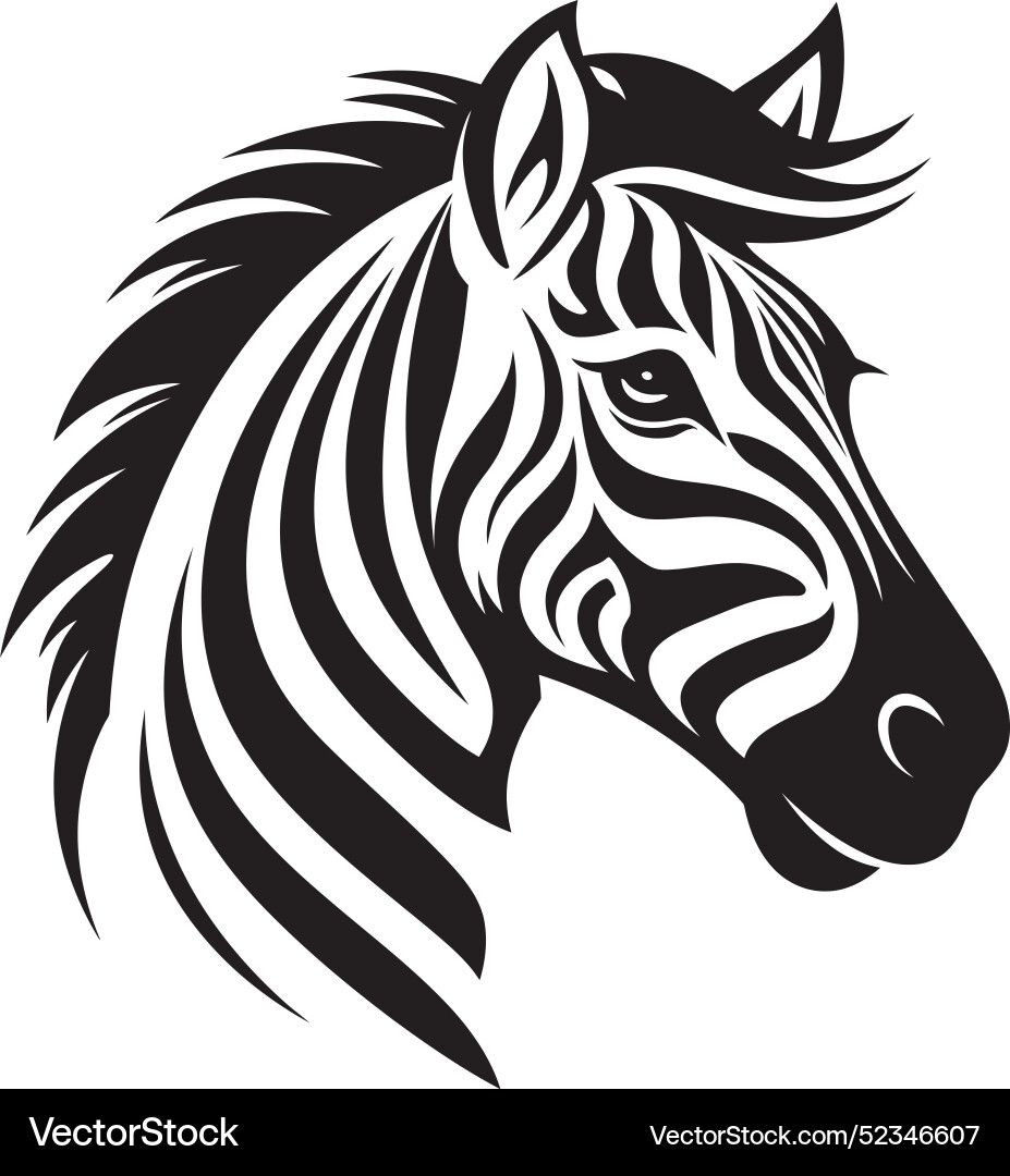 Abstract patterns zebra galleryintriguing wildlife Vector Image