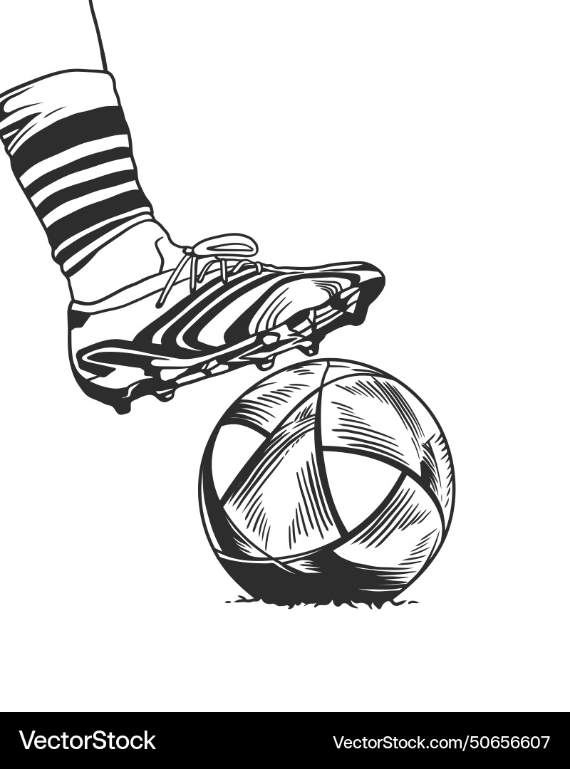 Male footballers feet are controlling the ball Male footballers feet are controlling the ball vector image