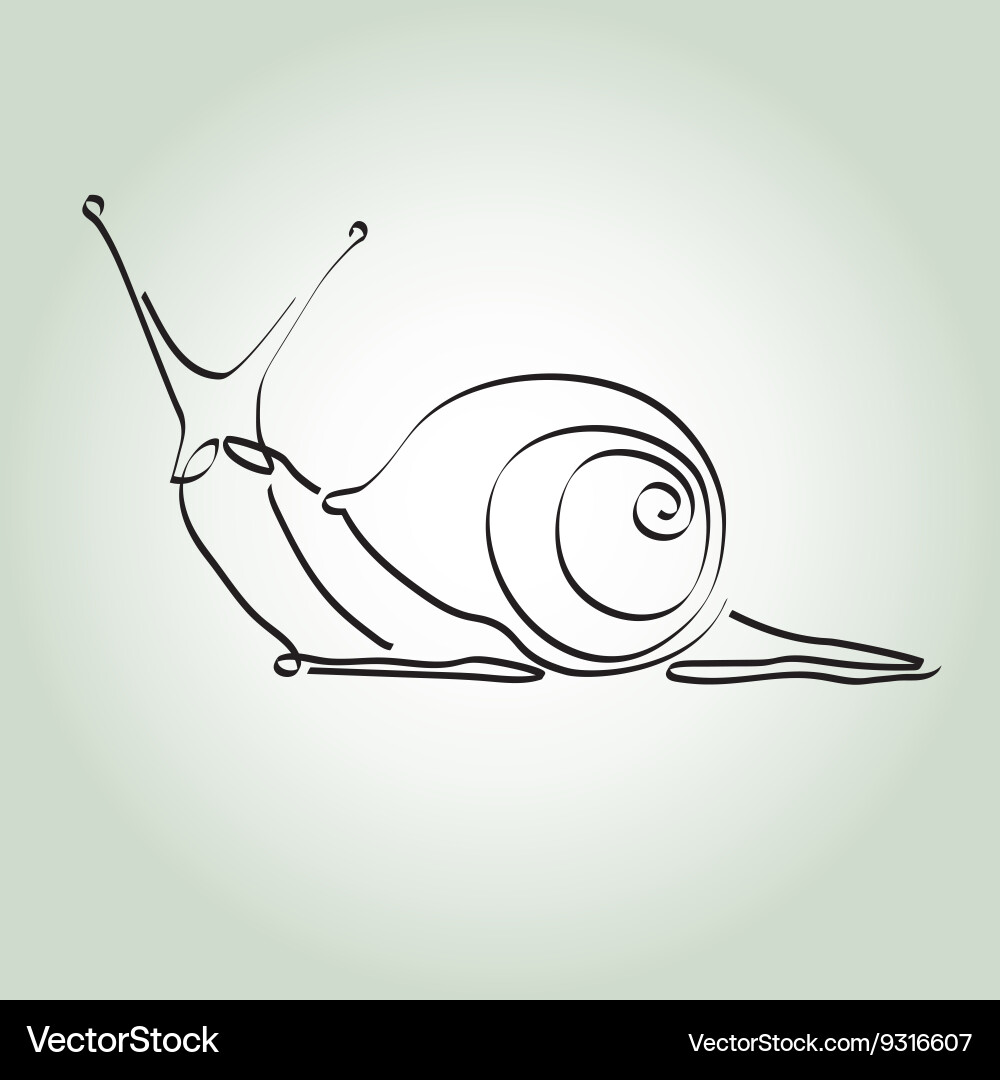 Snail in minimal line style vector image