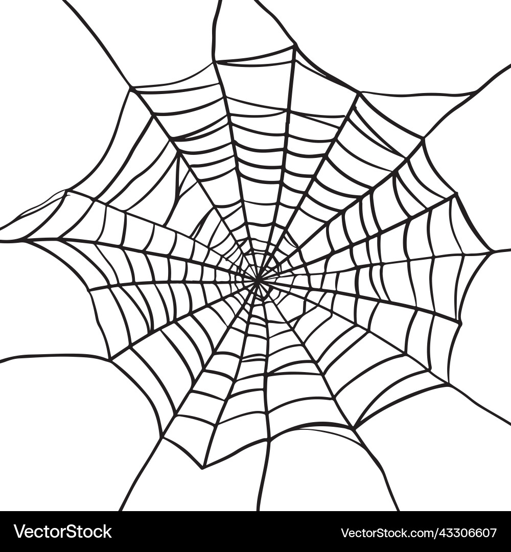Spider web set isolated on white background Vector Image