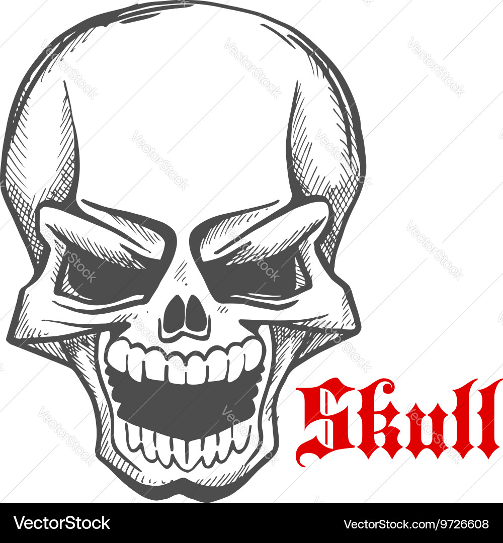 Laughing Skull - Vampire Fangs Sketch Vector Image