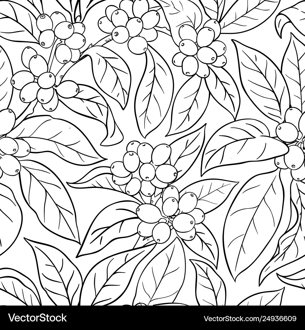 Coffee branches pattern on whte background Coffee branches pattern on whte background vector image