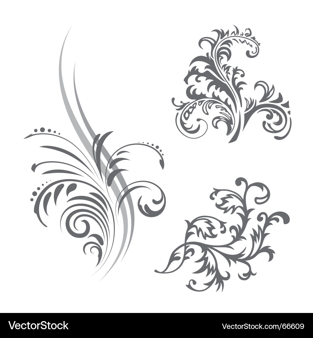 Floral Pattern Elements vector image