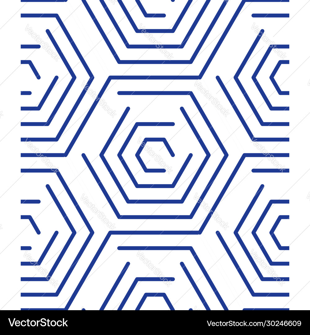 Linear pattern background with outline hexagons vector image