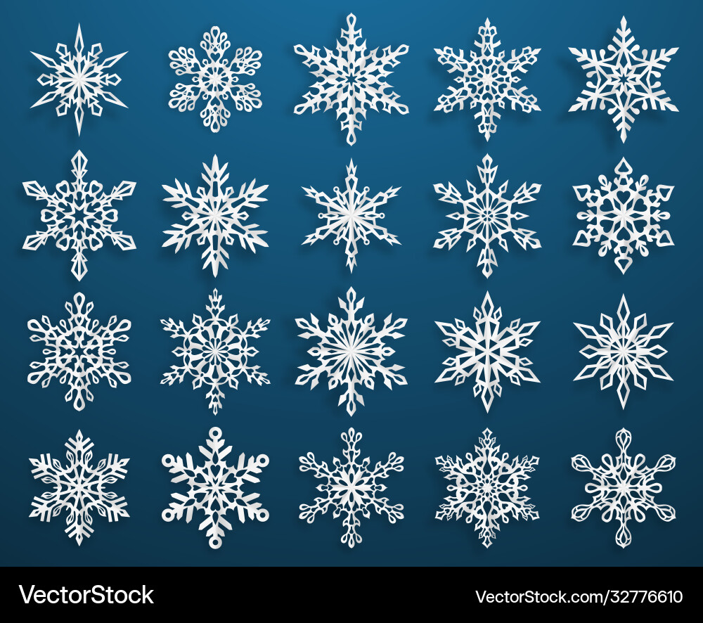 Set paper snowflakes Set paper snowflakes vector image
