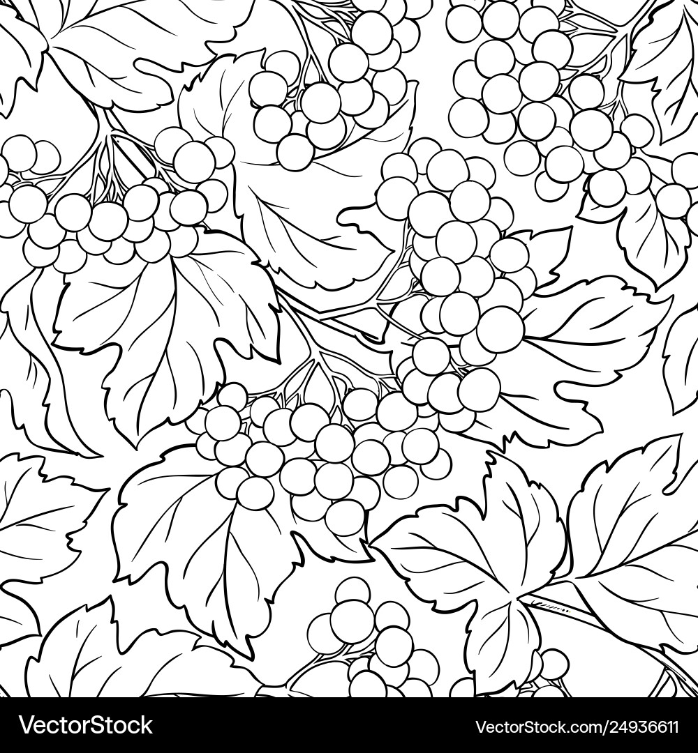 Guelder Rose Branches Pattern Vector Image