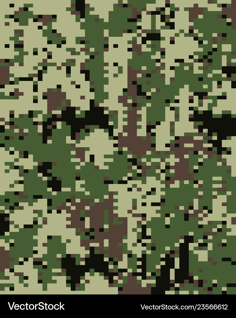 Digital Camo Pattern vector image