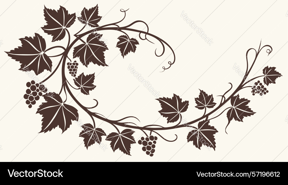 Grapevine oval frame rustic botanical border vector image