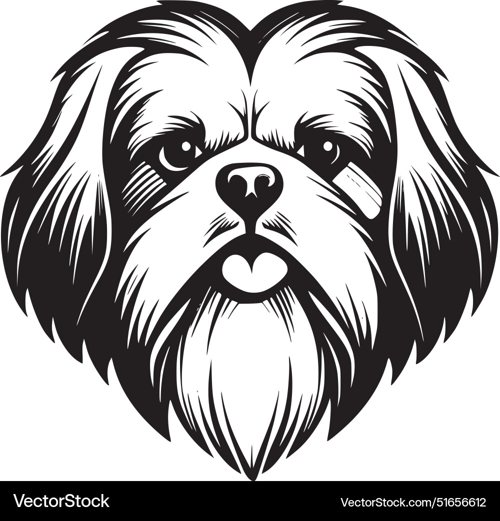 Shih tzu - black and white Royalty Free Vector Image