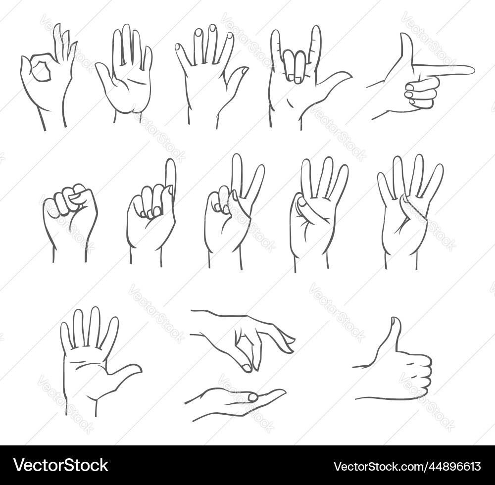 Hands in different interpretations vector image