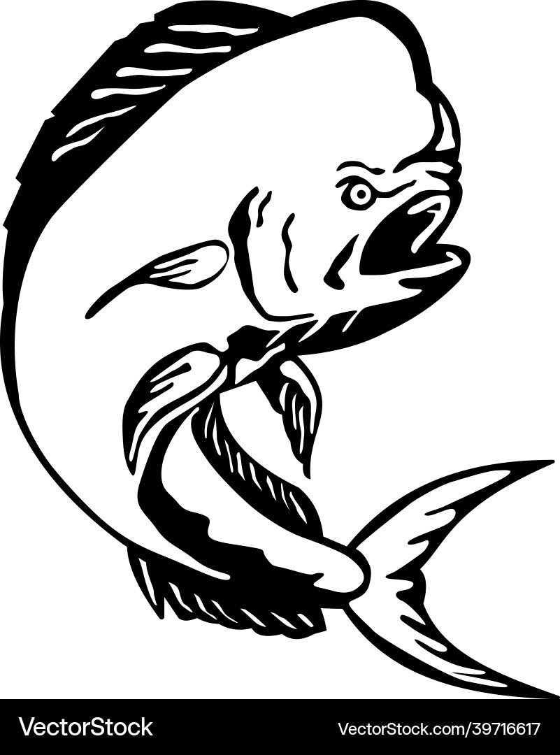 Jumping Mahi-Mahi - Side View Vector Image
