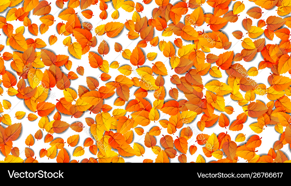 Nahtlose Herbstblätter horizontale Banner isoliert Nahtlose Herbstblätter horizontale Banner isoliert vektorbild
