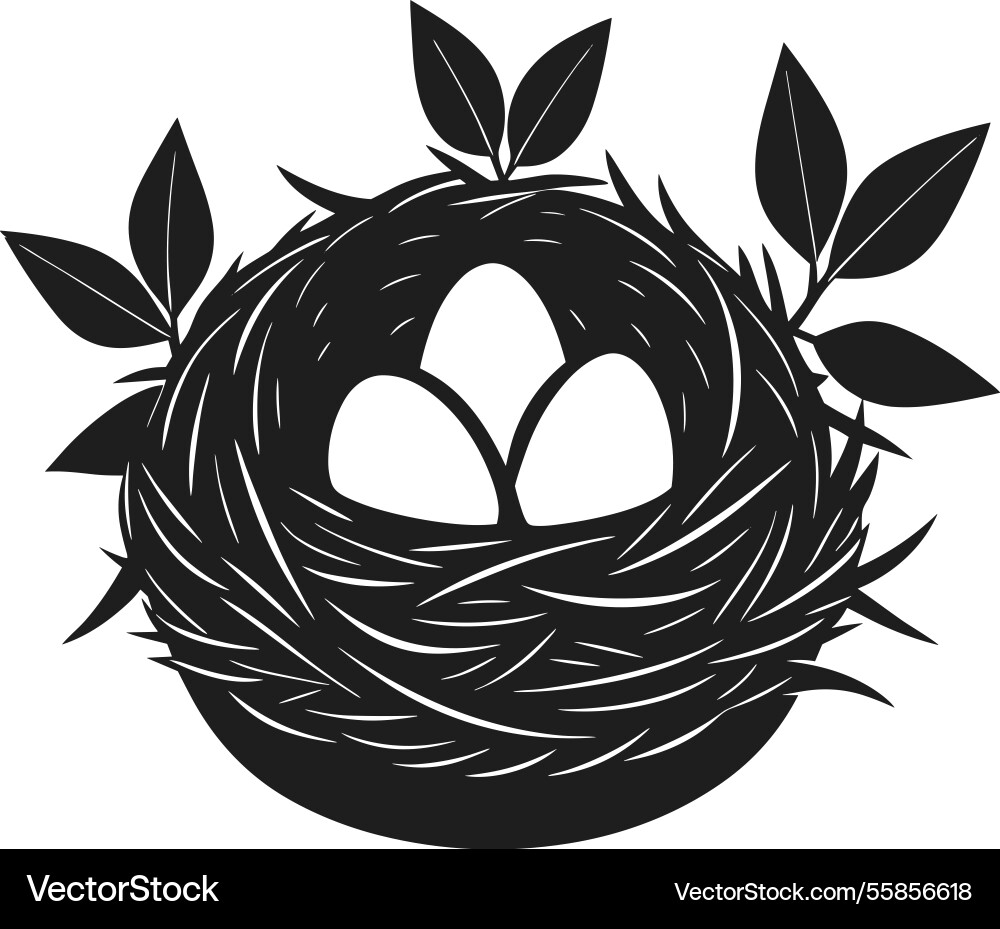Elegant bird nest with three eggs spring Vector Image