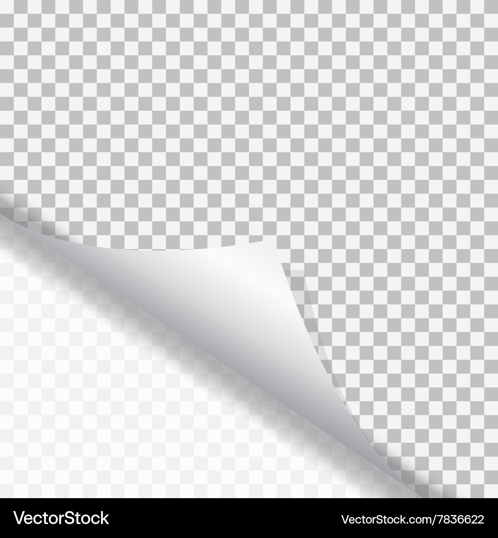 Page curl with shadow vector image