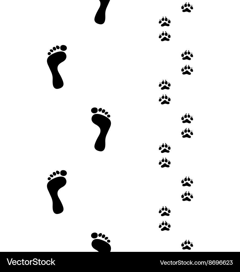 Footprints and Paw Prints vector image