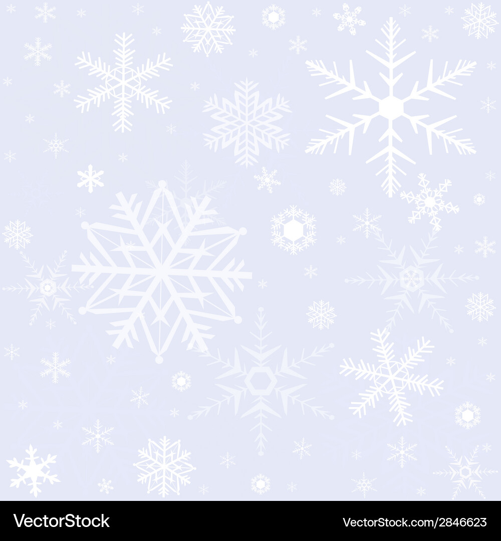 Snowflake Winter Pattern Vector Image