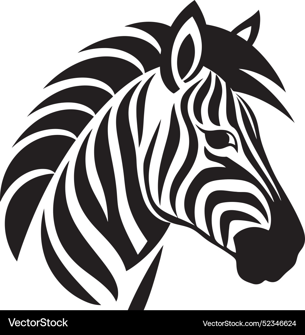 Contemporary zebra sketchingelegant patterns zebr Contemporary zebra sketchingelegant patterns zebr Vector Image
