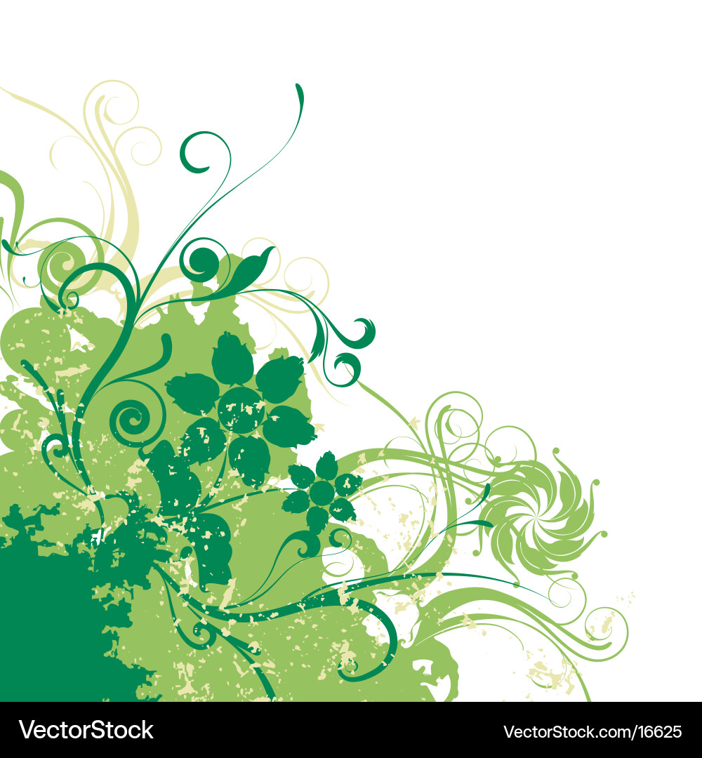 Floral Grunge Background Vector Image