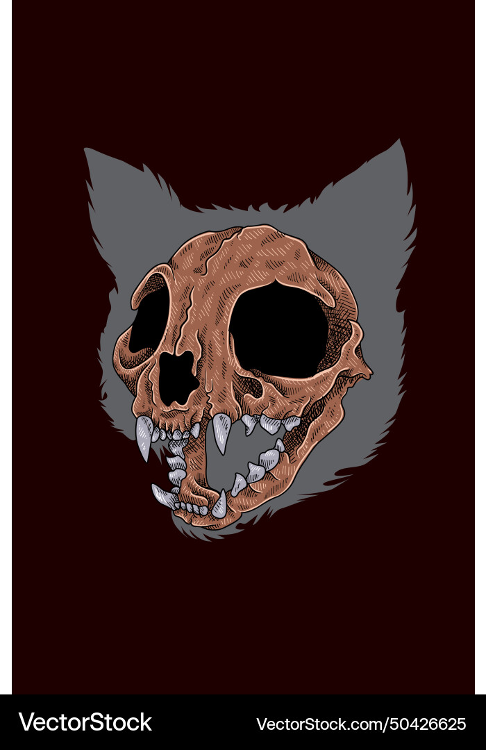 Skull cat vector image