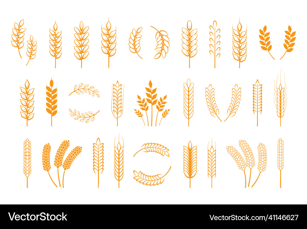 Cereal icons and wreath ears of corn logo barley Cereal icons and wreath ears of corn logo barley vector image