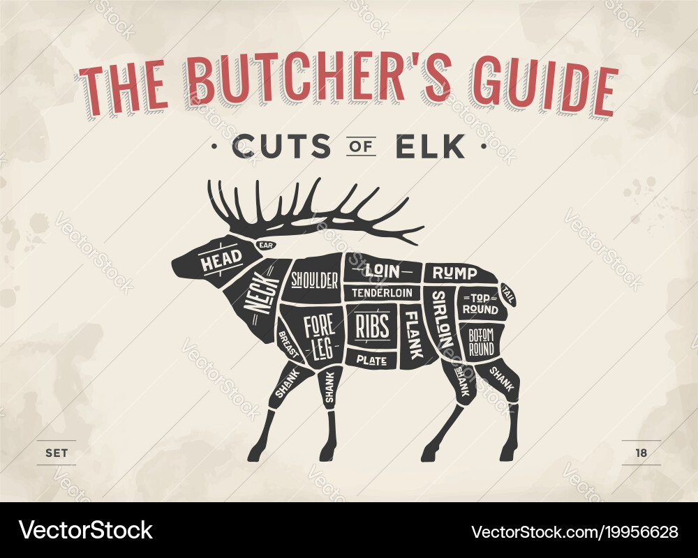 Butcher Shop Elk Diagram Vector Image