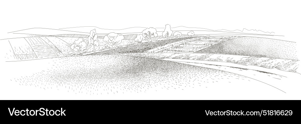 Sketch grünes Grasfeld auf kleinen Hügeln Sketch grünes Grasfeld auf kleinen Hügeln vektorbild
