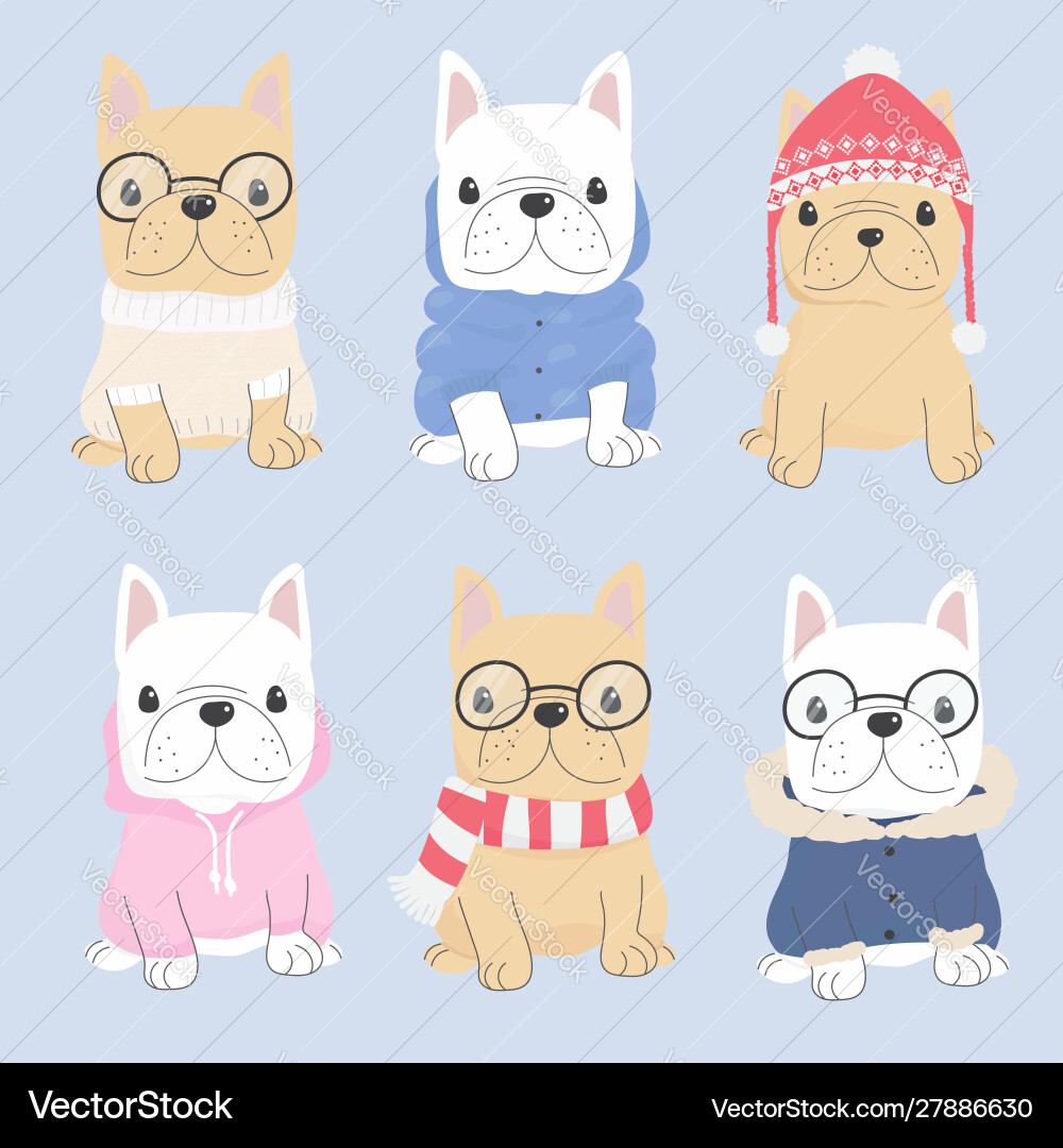 Süße französische Bulldogge Welpe im Winter Pullover Süße französische Bulldogge Welpe im Winter Pullover vektorbild