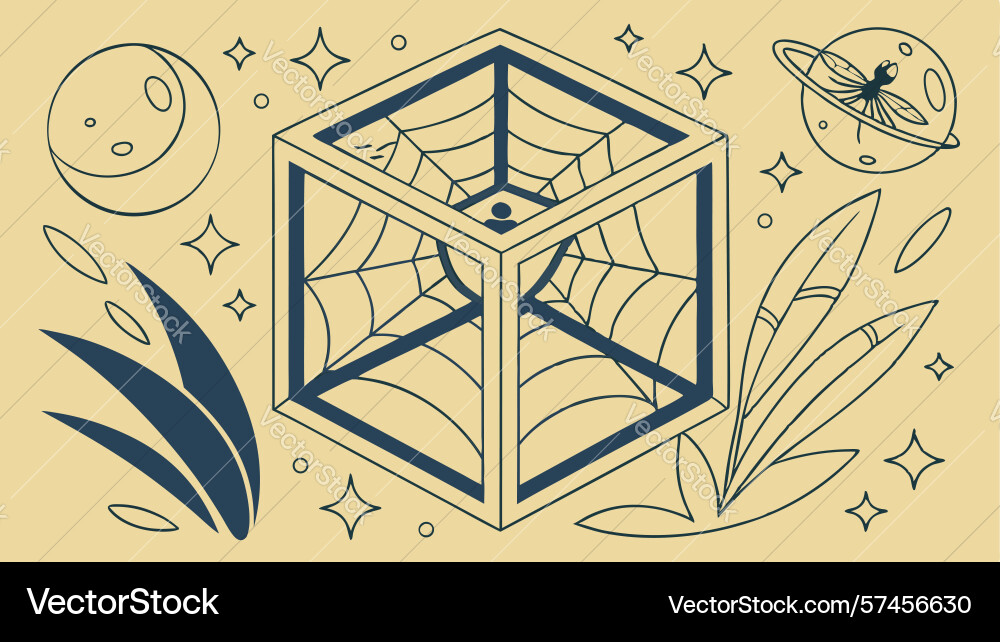 Wireframe cube with spider web and celestial vector image