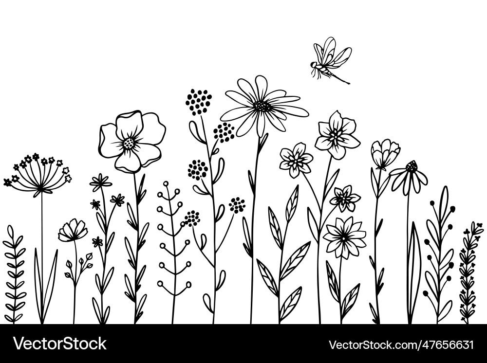 Different flowers and herbs with dragonfly wild vector image