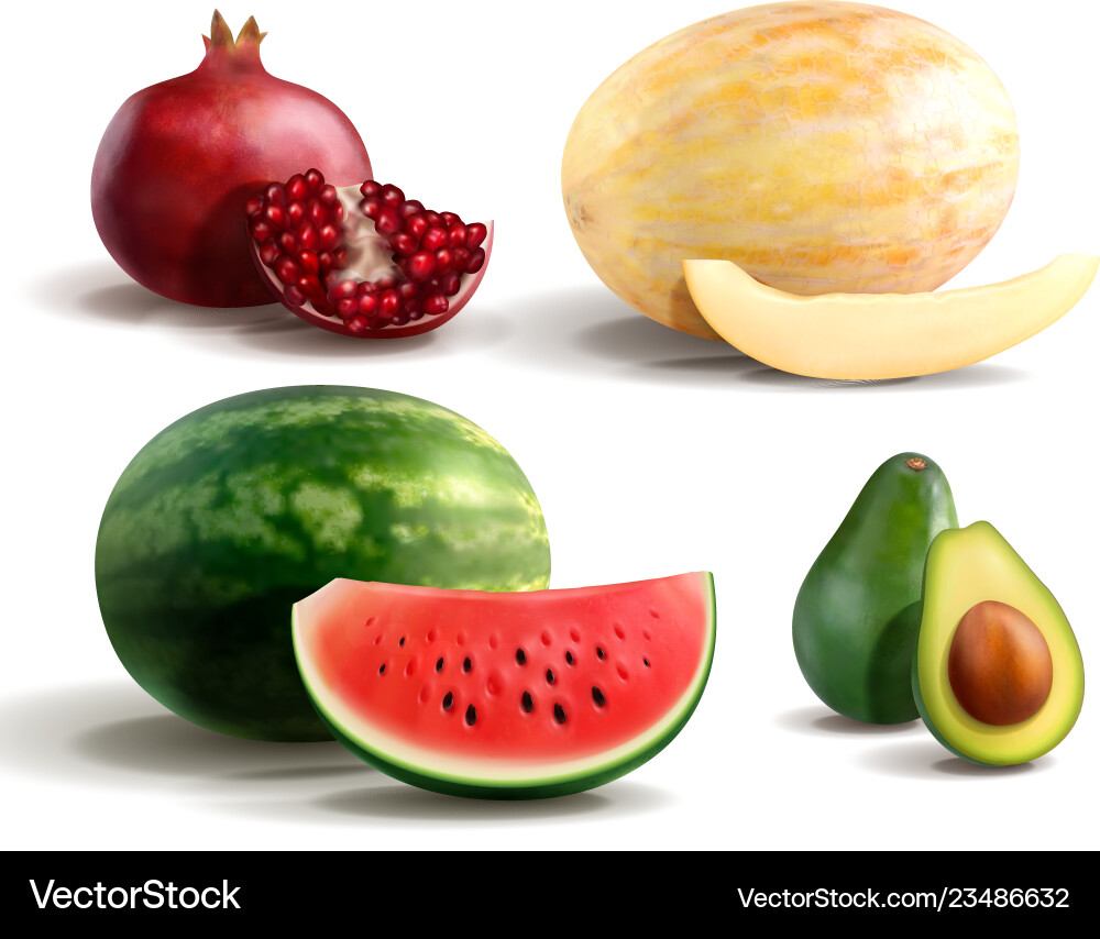Fruits realistic set Fruits realistic set vector image