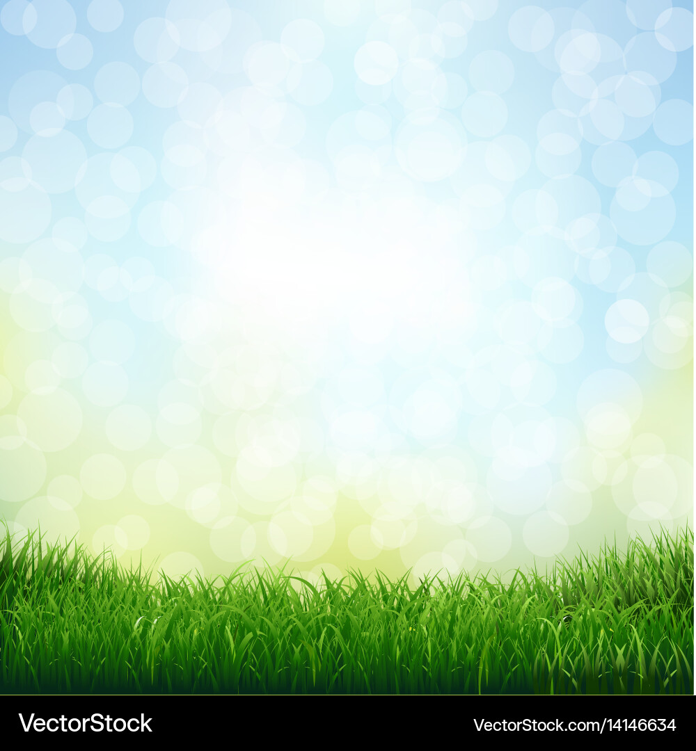 Lawn with Bokeh and Gradient Vector Image