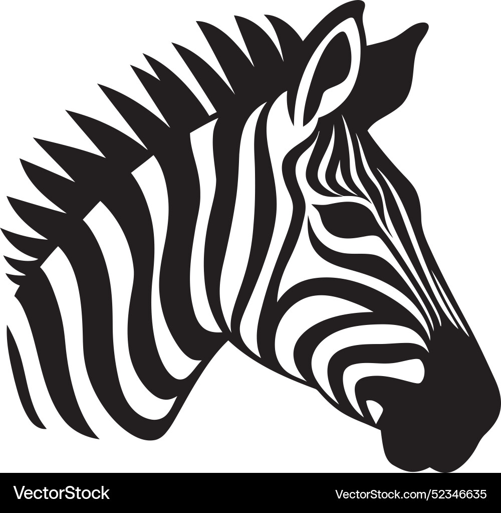 Abstract patterns zebra sketchingdecaying horde Abstract patterns zebra sketchingdecaying horde vector image